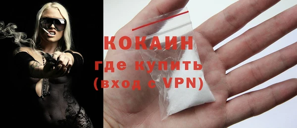 твердый Бердск