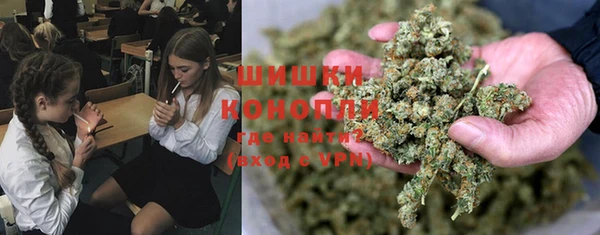 твердый Бердск
