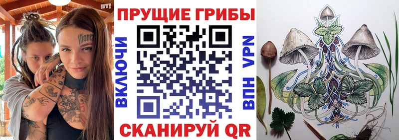Галлюциногенные грибы ЛСД  Кемь 